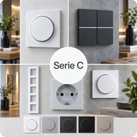 Serie C