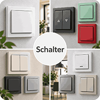 Modul 45 Schalter