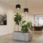 Preview: CDS LED-Pendelleuchte X-LINE SINGLEX HORTICULTURE – Professionelle Pflanzenbeleuchtung mit Sun-Like Full Spectrum und CRI >98