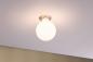 Preview: Paulmann 28626 LED Fil G125 470lm E27 2700K opal dim 6W