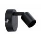 Preview: Paulmann Wand- und Deckenspot Carolina für GU10 LED Schwarz matt Metall 66755
