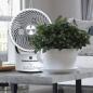 Preview: Fakir prestige TVC 360 Tischventilator weiß/schwarz