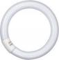 Preview: OSRAM G10q LED-Leuchstoff Röhre in Ringform 32W 4000K  EM neutralweißes Licht