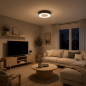 Preview: Helestra LOMO LED-Deckenleuchte Ø 45 cm, 34 W, 2800 K Warmweiß, 2500 lm, CRI >90, dimmbar, Chintz Anthrazit, CASAMBI Smart
