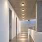 Preview: HELESTRA LIV 15/1732.22 LED Deckenleuchte 10 W 460 lm 2900 K Warmweiß CRI 90 dimmbar Mattschwarz