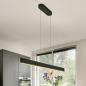Preview: Helestra NIN Pendelleuchte LED schwarz-gold – dimmbar mit EASY-LIFT Höhenverstellung