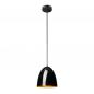 Preview: SLV 1008129 PARA CONE 20, Pendelleuchte, Pendellänge 250 cm, E27, 1x max. 60 W, schwarz / gold
