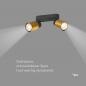 Preview: SLV 1008362 PURI 2.0 Tube, Wand- und Deckenaufbauleuchte, long, 2 x max. 6 W GU10, schwarz / gold