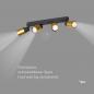 Preview: SLV 1008345 PURI 2.0 Tube, Wand- und Deckenaufbauleuchte, long, 4 x max. 6 W GU10, schwarz / gold