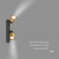 Preview: SLV 1008317 PURI 2.0 Dome, Wand- und Deckenaufbauleuchte, asymmetrisch, 2 x max. 6 W GU10, schwarz / gold