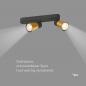 Preview: SLV 1008313 PURI 2.0 Cone, Wand- und Deckenaufbauleuchte, asymmetrisch, 2 x max. 6 W GU10, schwarz / gold
