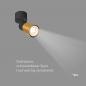 Preview: SLV 1008293 PURI 2.0 Dome, Wand- und Deckenaufbauleuchte, 1x max. 6 W GU10, schwarz / gold