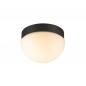 Preview: SLV 1008944 CYFT DOME Wand und Deckenleuchte 6,5W 2700 3000 4000K IP65 schwarz milchig