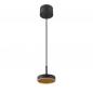 Preview: SLV 1009014 GRIP! FLAT Pendelleuchte PHASE 2700/3000K schwarz/gold – moderne LED Pendelleuchte mit CCT Switch