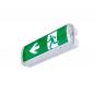 Preview: SLV 1010505 P-LIGHT – LED Not- und Sicherheitsleuchte Wand/Decke 5,2W 6000K IP65