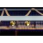 Preview: SLV 1010318 DYSKO 1~ Spot PHASE 2700K 6,7W 36° schwarz/gold