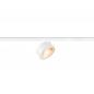 Preview: SLV 1010254 KALU 2.0 48V DALI LED Spot 9W 1400lm 2700K 36° Weiß – zylindrischer High-End Schienenstrahler