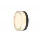 Preview: SLV 1010210 CYFT XL Wand- und Deckenleuchte 15W 2700/3000/4000K IP65 schwarz – moderne Designleuchte mit CCT Switch