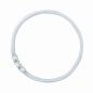 Preview: Osram T5 FC 55W/830 Circline / Ring LUMILUX Warm White mit Sockel 2GX13