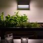 Preview: OSRAM ENDURA Style Robust Wandleuchte 12W IP54 Dunkelgrau
