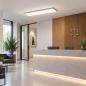 Preview: OSRAM PLANON Plus 1200x300mm 36W 3100lm 4000K Neutralweiß Ra80 120° IP20 LED-Deckenleuchte Weiß