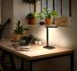 Preview: OSRAM Office Line Desk Banker Schreibtischlampe 7W CCT Dimmbar Schwarz