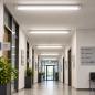 Preview: LEDVANCE LED TUBE T8 EM 6 kV ROTATABLE 1200mm 14W wie 36W 2300lm 3000K warmweiß G13 für KVG/VVG oder direkt 230V inkl. Ersatzstarter 1500mm