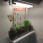 Preview: NEUSIUS PFLANZENLICHT -  60cm LED Pflanzenlicht Röhre | 8W T8 Vollspektrum (inkl. Starter)