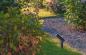 Preview: Lucide TATUM LED Gartenstrahler 4,5W 3000K IP65 Anthrazit