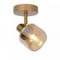 Preview: BJORN Deckenstrahler 1-flammig E14 dreh- & schwenkbar Metall Glas Messing