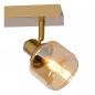 Preview: Lucide BJORN - Deckenstrahler 2xE14 Mattes Gold / Messing