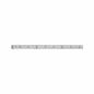 Preview: Paulmann 70663 Function MaxLED 500 Strip 1m 2700K 7W 24V Silber