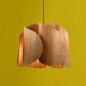 Preview: Pevero Pendelleuchte aus massivem Eschenholz in extravagant gebogener Form Ø42 von Fabas Luce