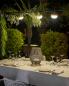 Preview: New Garden CHERRY LED Outdoor Solar Leuchthalbkugel dimmbar beige mit Fernbedienung IP54
