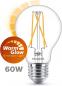Preview: PHILIPS LED Classic Leuchtmittel E27 5,9W = 60W WarmGlow warmweißes Licht mit Dimmfunktion