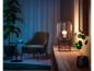 Preview: 2er Set Philips Hue White & Color Ambiance mit 2 x E27 RGBW LED Lampen - mehrfarbig und dimmbar - 8,1 Watt