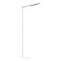 Preview: EVN Büro Stehleuchte, up/down (Drehdimmer) BSL500140