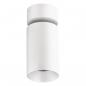 Preview: EVN LED-Deckenanbauleuchte, IP20 DSR10101