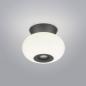 Preview: HELESTRA SAPO Deckenleuchte LED mattschwarz