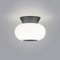 Preview: HELESTRA SAPO Deckenleuchte LED mattschwarz