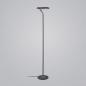 Preview: HELESTRA ELARA LED-Stehleuchte 13,5 W 920 lm 2700 K Warmweiß Plus Ra 90 230 V dimmbar Schwarz/Gold