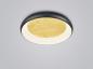 Preview: HELESTRA TYRA LED-Wand-/Deckenleuchte 32 W 3440 lm 2700 K Warmweiß Ra 90 230 V IP20 dimmbar Schwarz/Gold 54 cm
