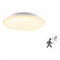 Preview: EVN LED Anbauleuchte mit Bewegungsmelder L30180125BM