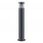 Preview: EVN Pollerleuchte Aluminium Druckguss E27 IP54 Anthrazit 900 mm inkl. Bodenanker