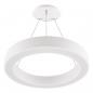 Preview: EVN LED Pendelleuchte mit CCT Switch RPT600125