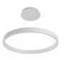 Preview: EVN LED Pendelleuchte mit CCT Switch RTS600125