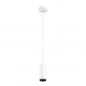 Preview: SLV 1004150 NUMINOS PD PHASE S Indoor LED Pendelleuchte weiß/schwarz 2700K 24°