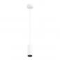 Preview: SLV 1004158 NUMINOS PD PHASE S Indoor LED Pendelleuchte weiß/schwarz 3000K 24°