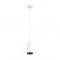 Preview: SLV 1004248 NUMINOS PD PHASE M Indoor LED Pendelleuchte weiß/schwarz 2700K 60°