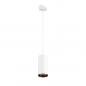 Preview: SLV 1004352 NUMINOS PD PHASE L Indoor LED Pendelleuchte weiß/schwarz 3000K 60°